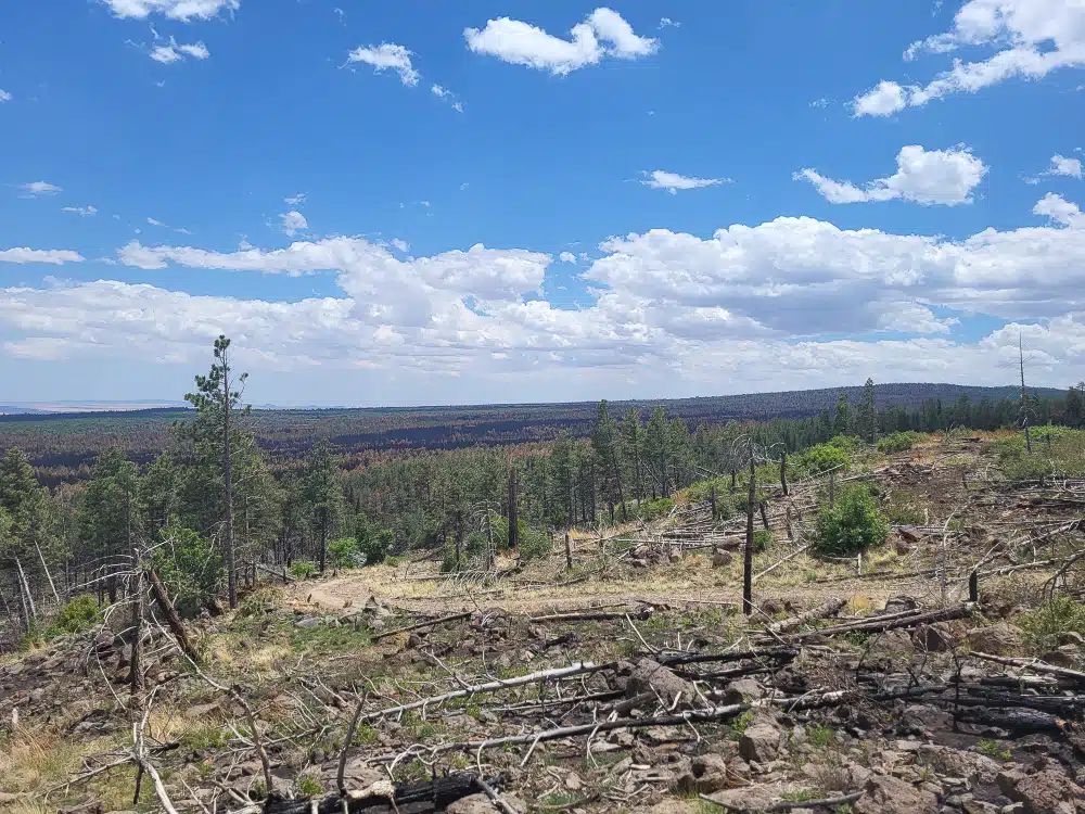 Natural Resource Specialist Services — Rocky Mountain Ecology