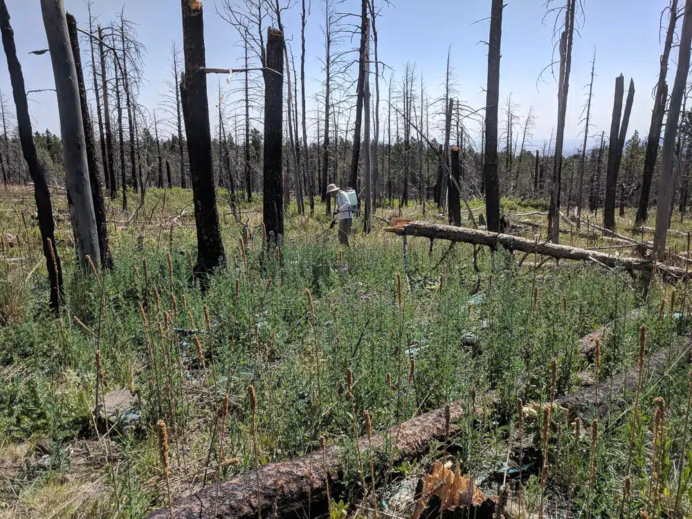 NEPA Compliance & Documentation — Rocky Mountain Ecology