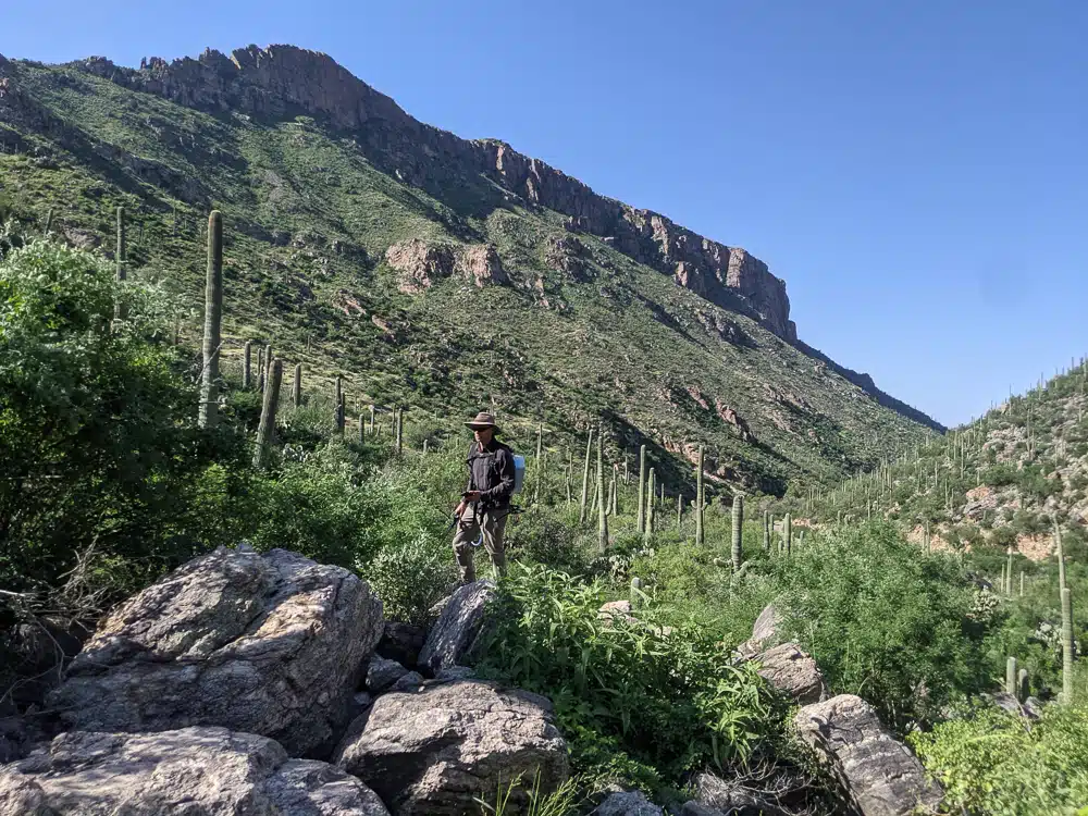 Implementation & Restoration — Rocky Mountain Ecology