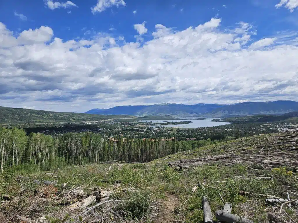 Hermits Peak Calf Canyon (HPCC) Invasive Weed Survey