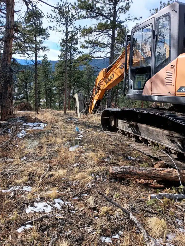 Denver Mountain Parks Forest Management