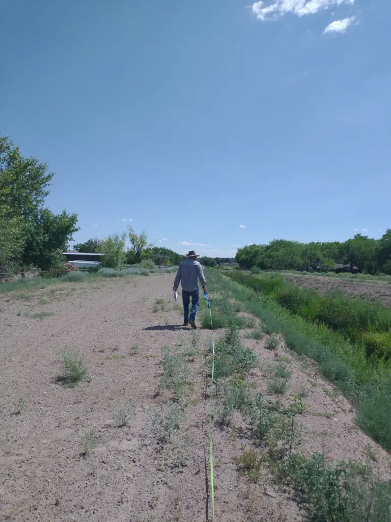 MRGCD Acequia Vegetation Assessments